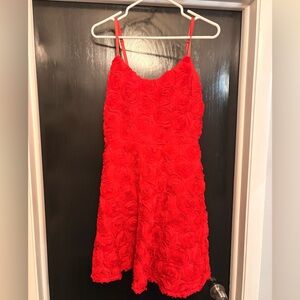 Express Red Rose Dress NWT